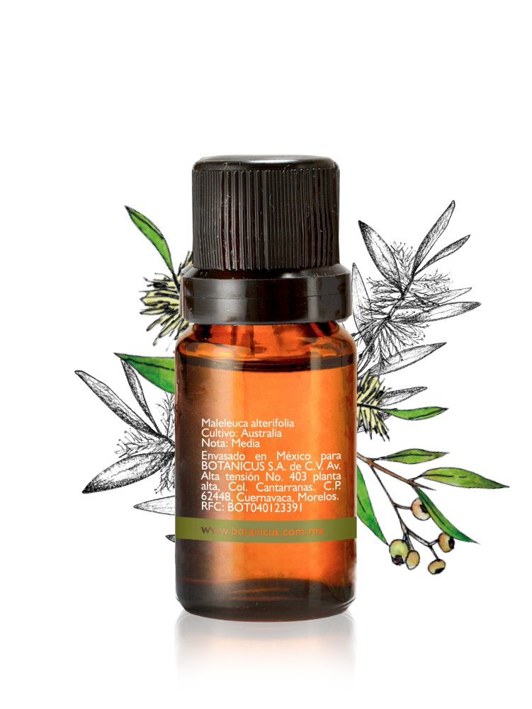 Aceite Esencial - Árbol de Té 10 ml - Image 2