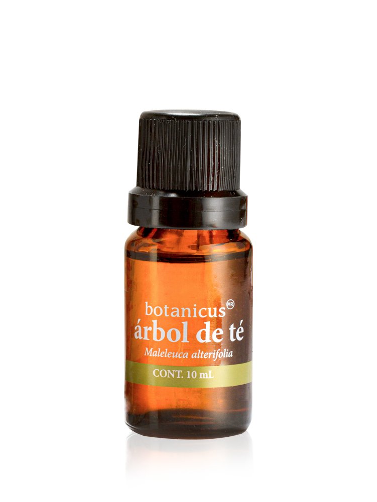 Aceite Esencial - Árbol de Té 10 ml - Image 3