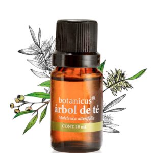Aceite-Esencial-Arbol-de-Te-10-ml_AROMATERAPIA_2465_4.jpeg Aceite Esencial - Árbol de Té 10 ml