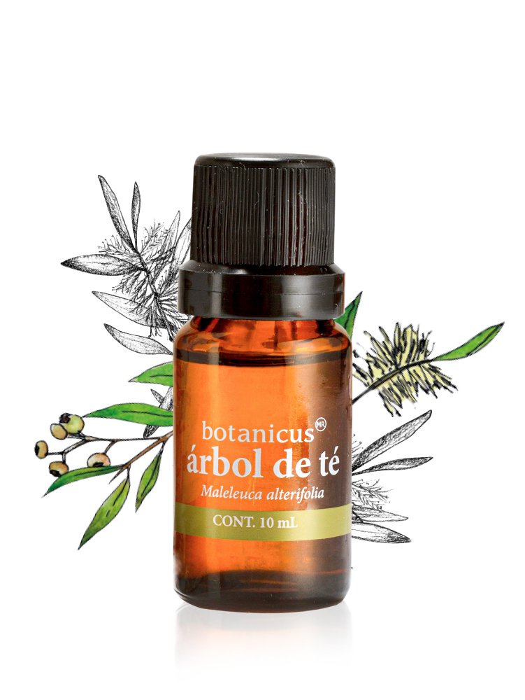 Aceite Esencial - Árbol de Té 10 ml