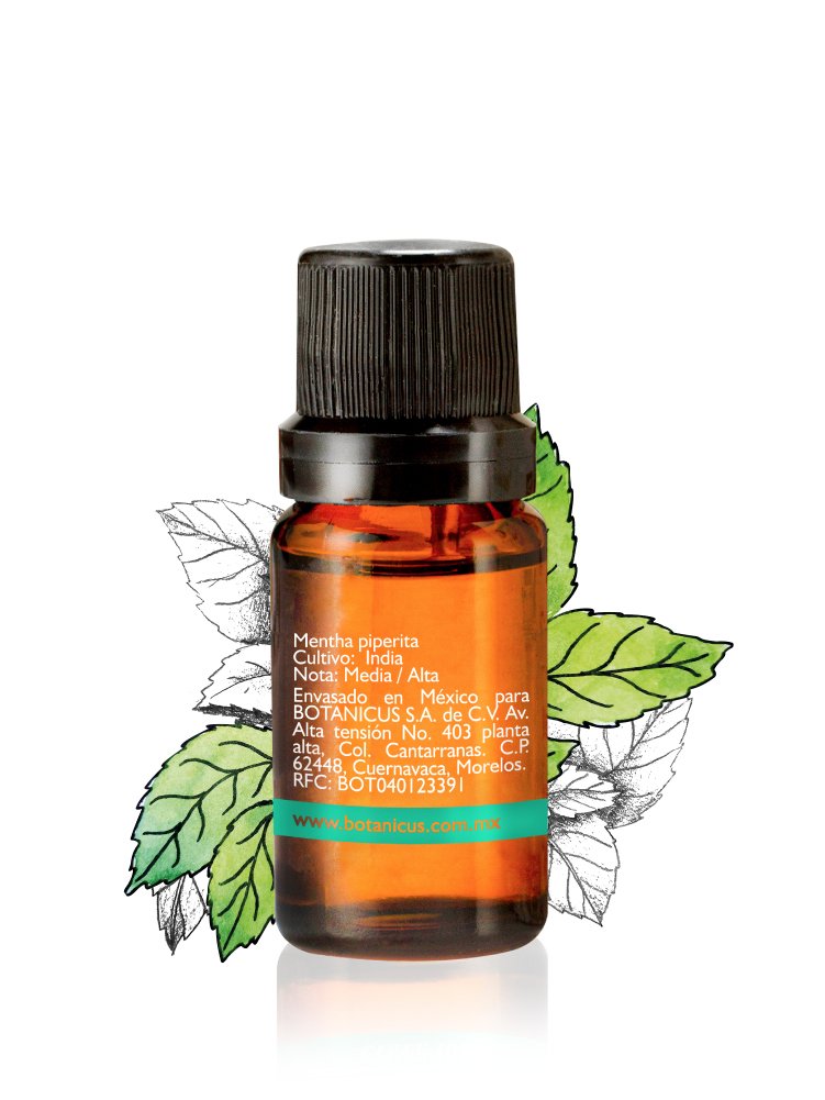 Aceite Esencial-Menta 10 ml - Image 2