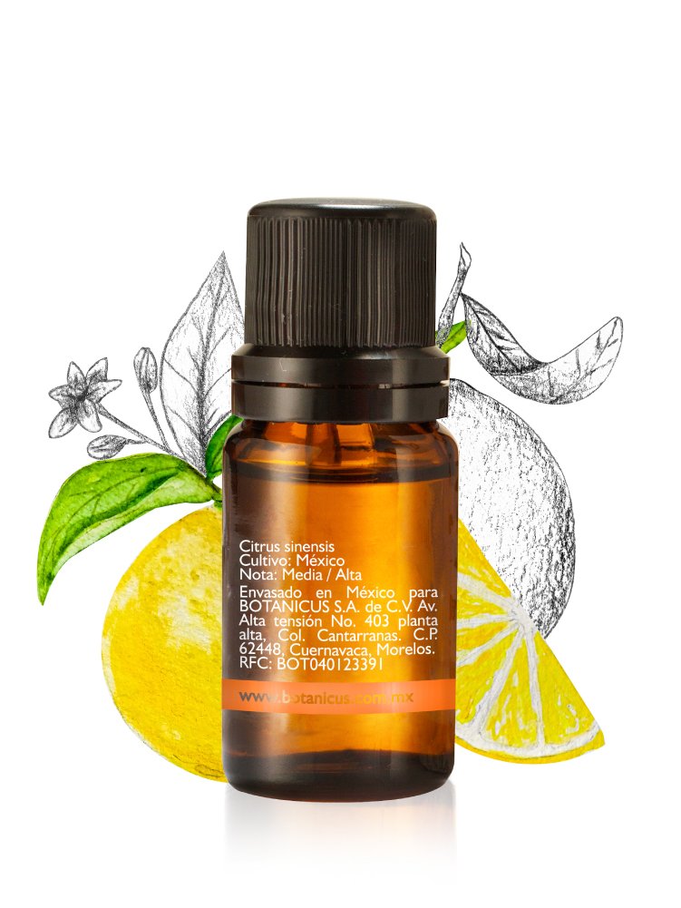 Aceite Esencial-Naranja 10 ml - Image 2