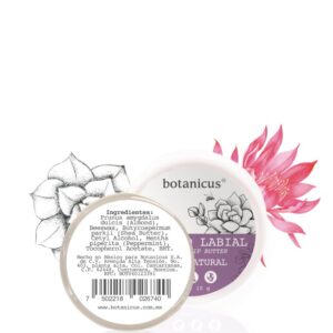 Bálsamo para Labios menta 10 gr