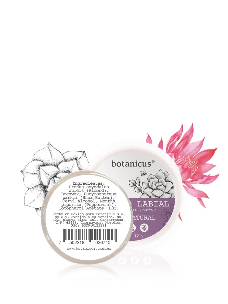 Bálsamo para Labios menta 10 gr